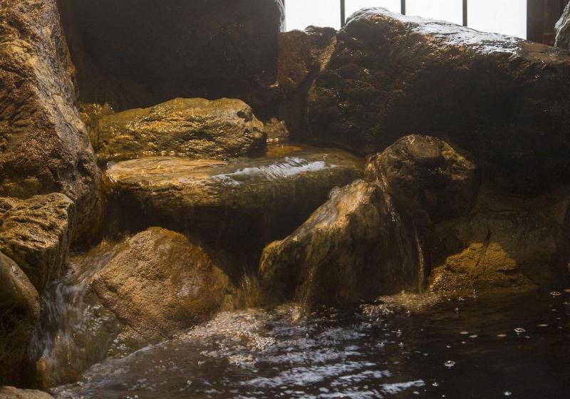 هتل Dormy Inn Toyama Natural Hot Spring