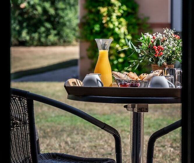 호텔 Hôtel & Séminaire Le Patio Occitan   Toulouse Ouest   Francazal