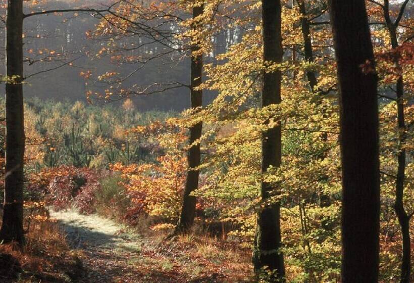 ホテル Les Etangs De Guibert