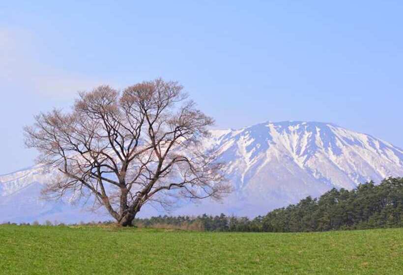 酒店 Toyoko Inn Kitakami-eki Higashi-guchi