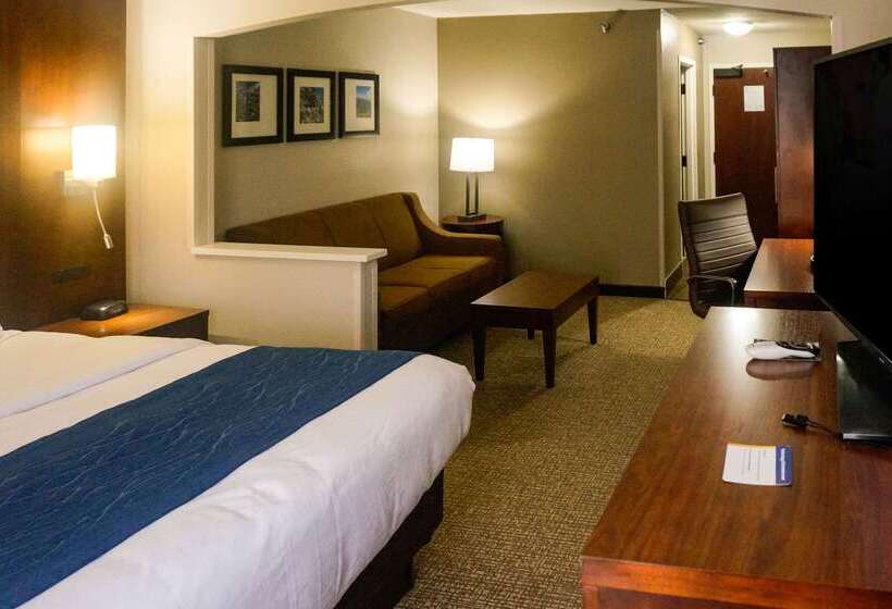 هتل Comfort Inn & Suites Conway
