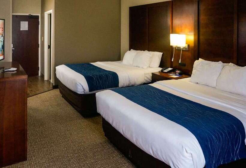 Hotel Comfort Inn & Suites Conway