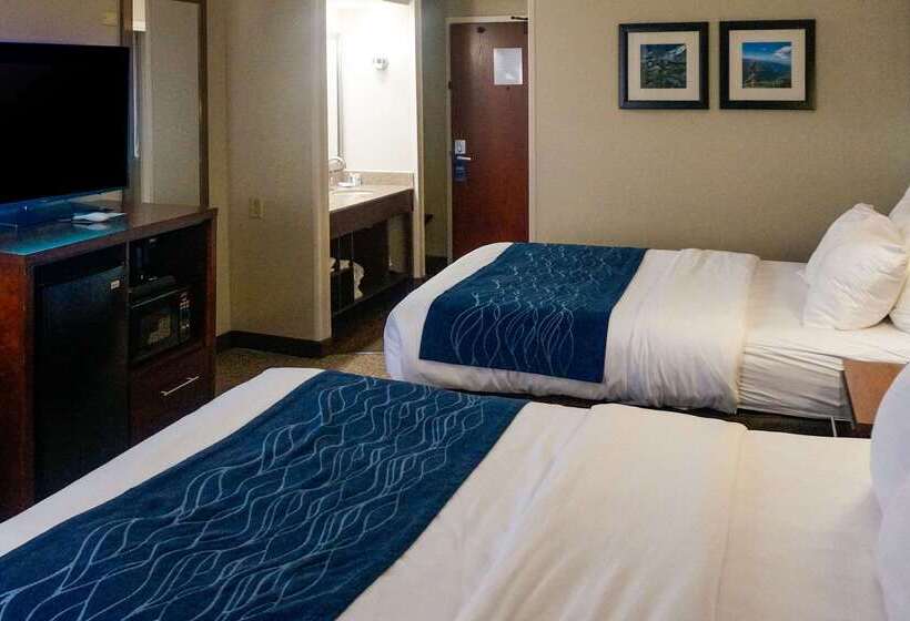 هتل Comfort Inn & Suites Conway