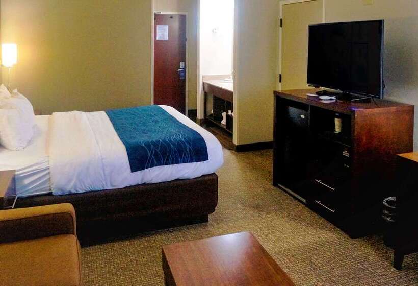 هتل Comfort Inn & Suites Conway