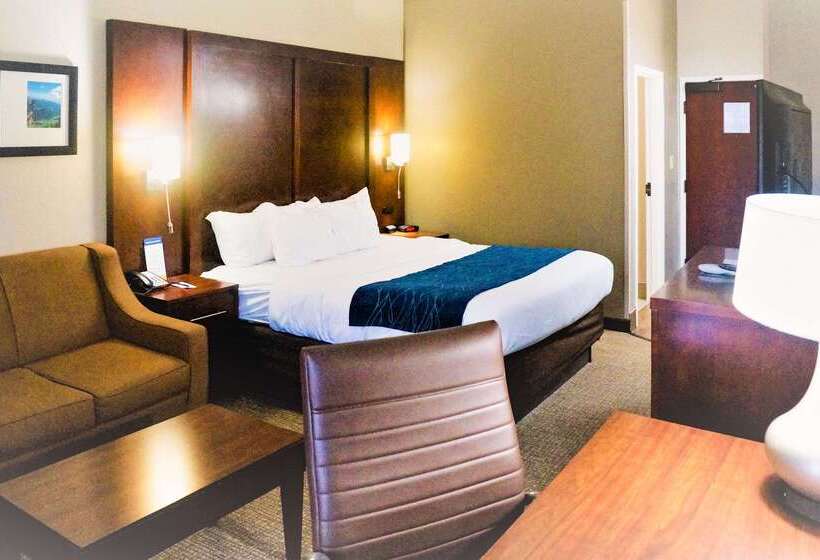 هتل Comfort Inn & Suites Conway