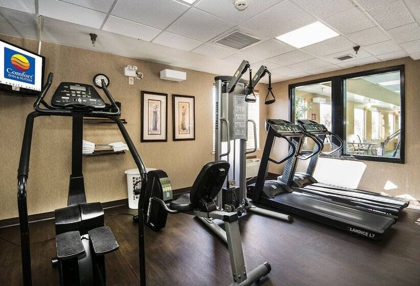 هتل Comfort Inn & Suites Conway