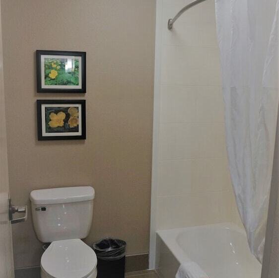 هتل Comfort Inn & Suites Conway