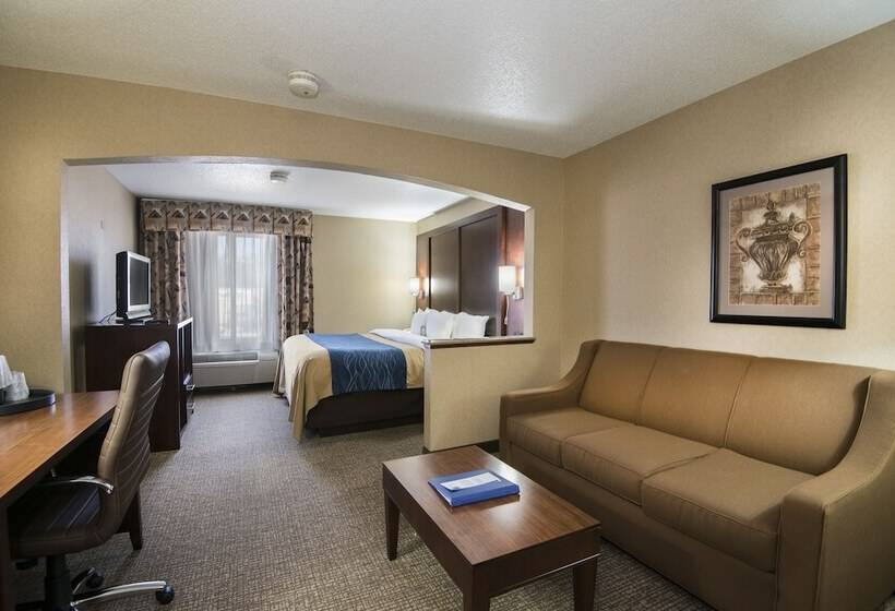 هتل Comfort Inn & Suites Conway