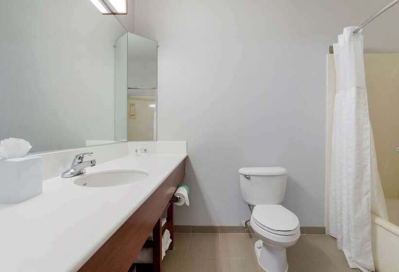 בית מלון כפרי Comfort Suites La Porte