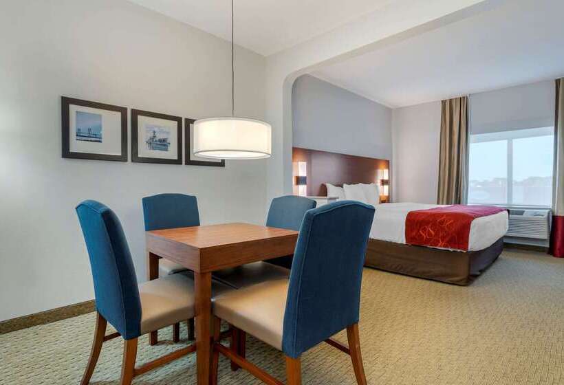 בית מלון כפרי Comfort Suites La Porte