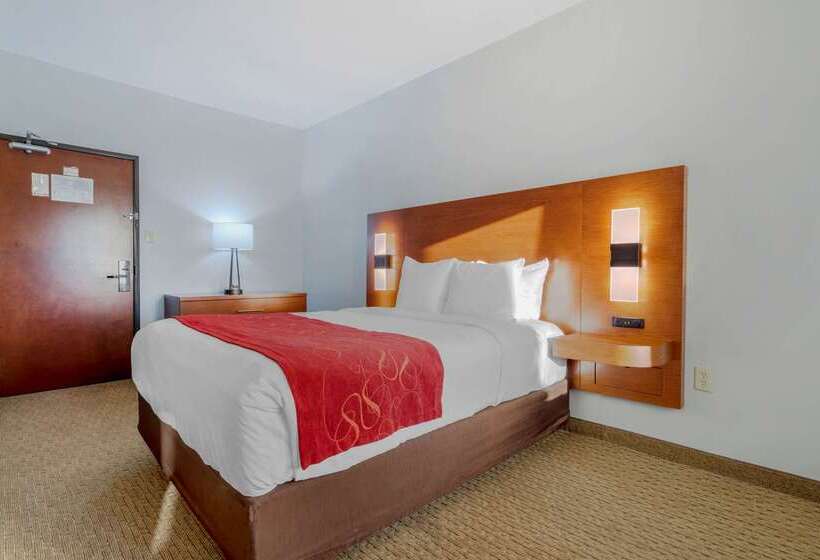 בית מלון כפרי Comfort Suites La Porte