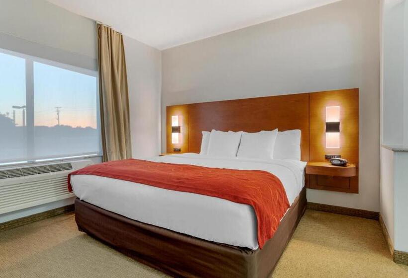 בית מלון כפרי Comfort Suites La Porte