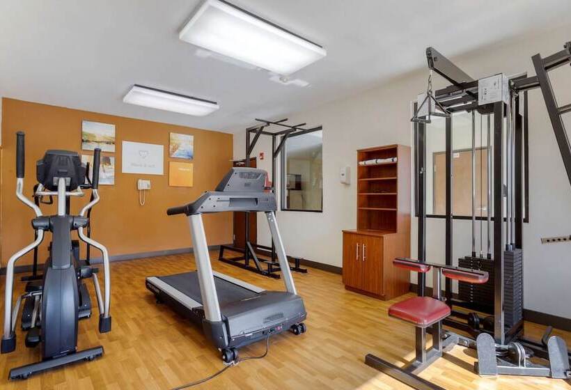 בית מלון כפרי Comfort Suites La Porte