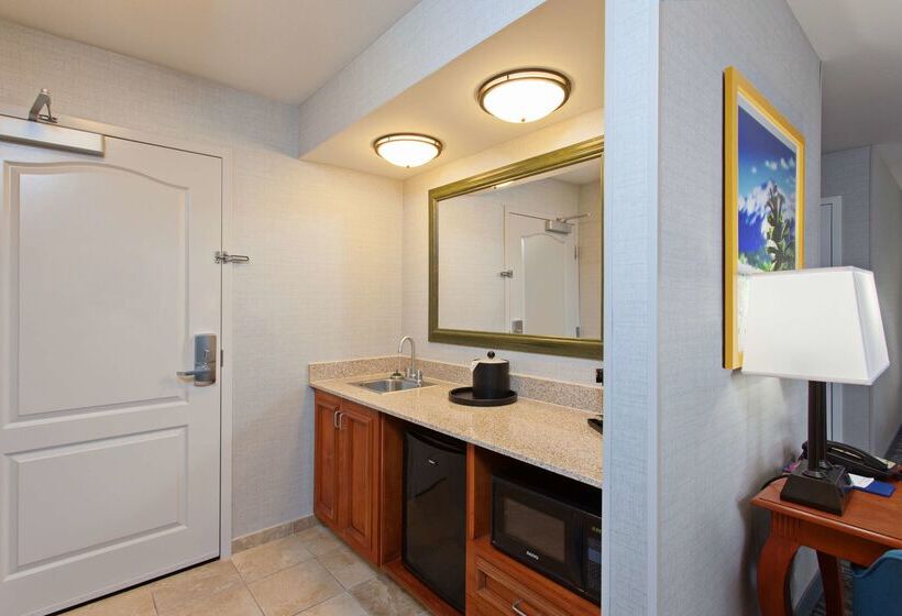 هتل Hampton Inn & Suites Clovisairport North