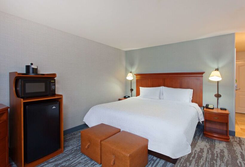 هتل Hampton Inn & Suites Clovisairport North