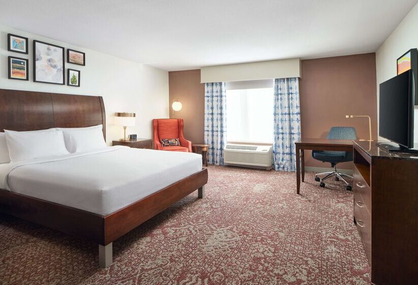 Hotel Hilton Garden Inn El Paso Airport