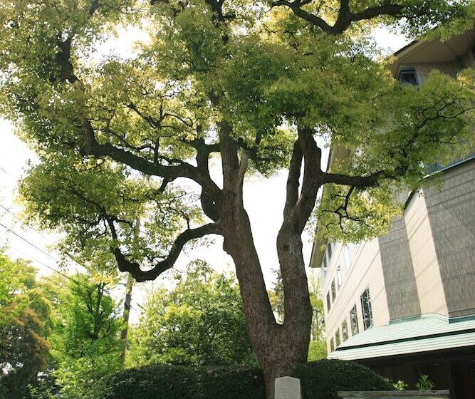 Hotel Kyoto Garden Palace