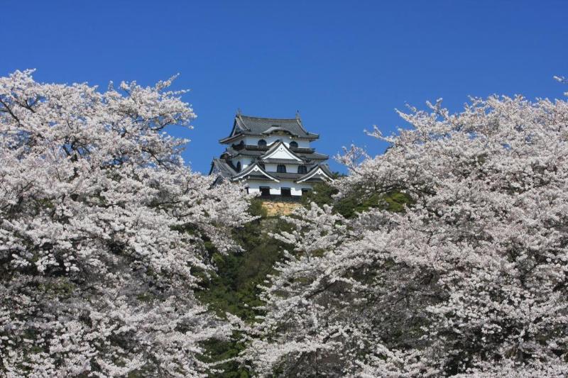 هتل Dantokan Kikunoya