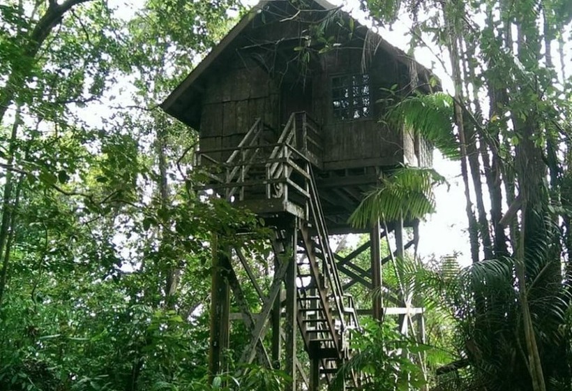 هتل Permai Rainforest Resort