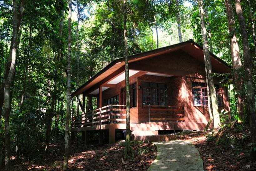 هتل Permai Rainforest Resort