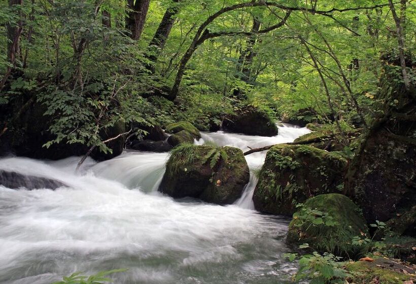 בית מלון כפרי Towada