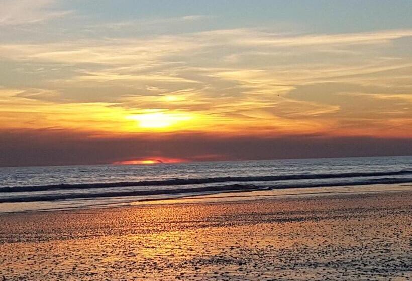 Hostal Patio Andaluz