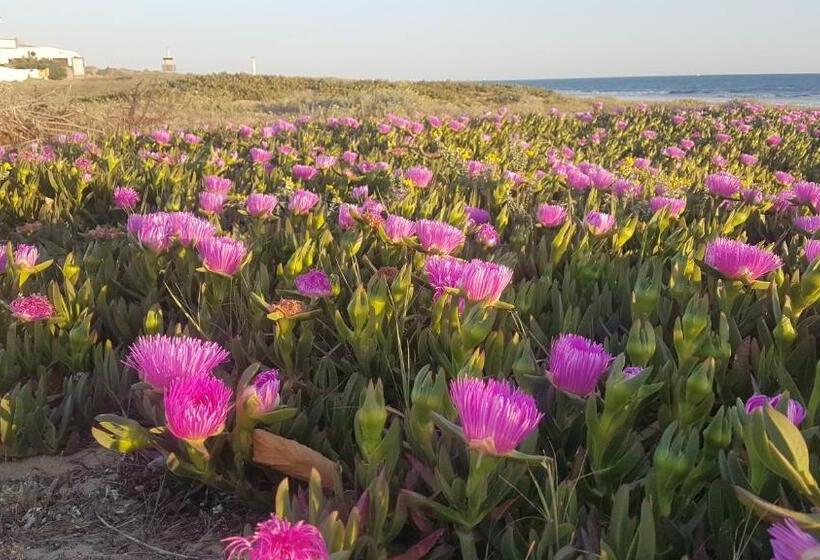 Hostal Patio Andaluz