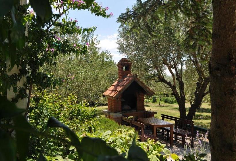 هتل Dolac Guesthouse