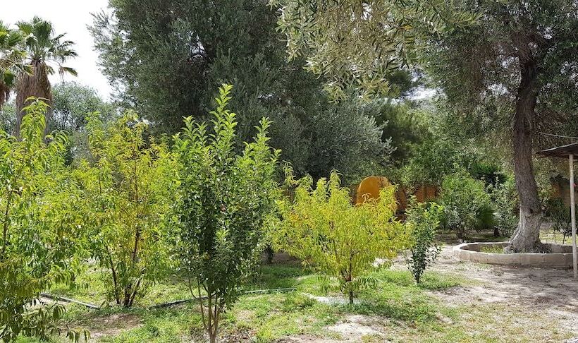 فندق Quinta San Jorge