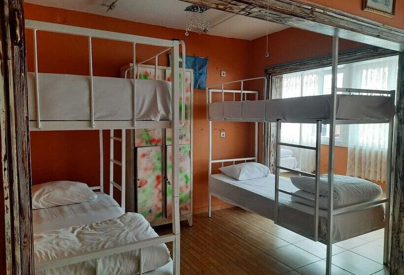 Bahaus Hostel