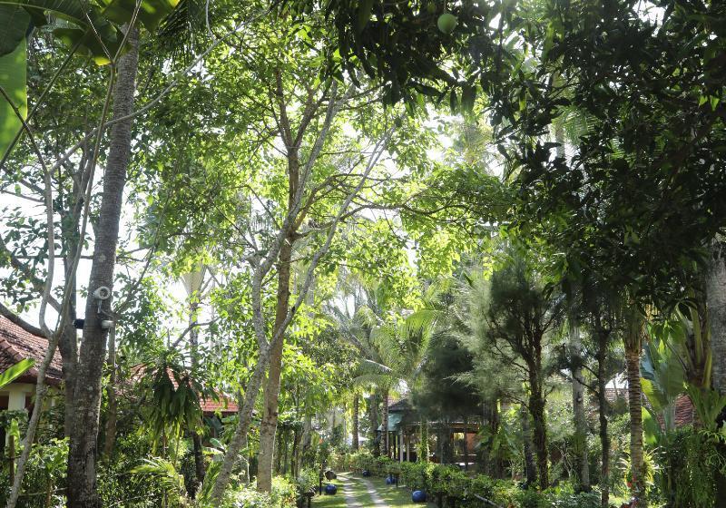 Fotos del hotel Cassia Cottage:  34