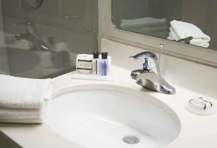 Fotos del hotel Istay Hotel Monterrey Histórico:  47