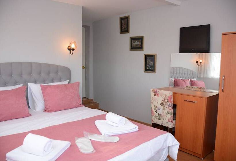 Fotos del hotel Turgut:  8