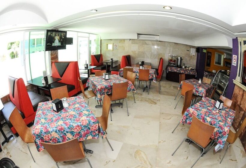 Fotos del hotel Hotel Ziami:  10