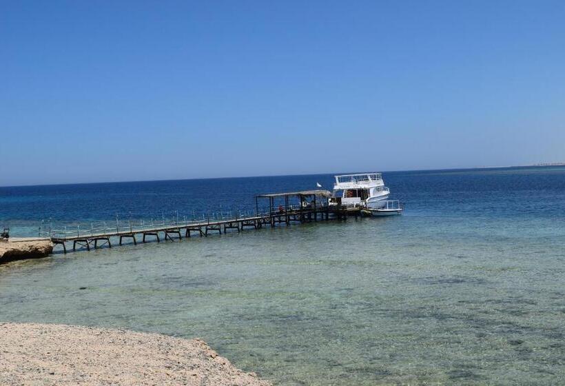 Mangrove Bay Resort