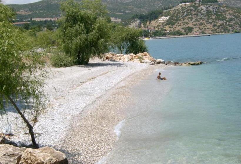 Sehsuvar Peace Pension