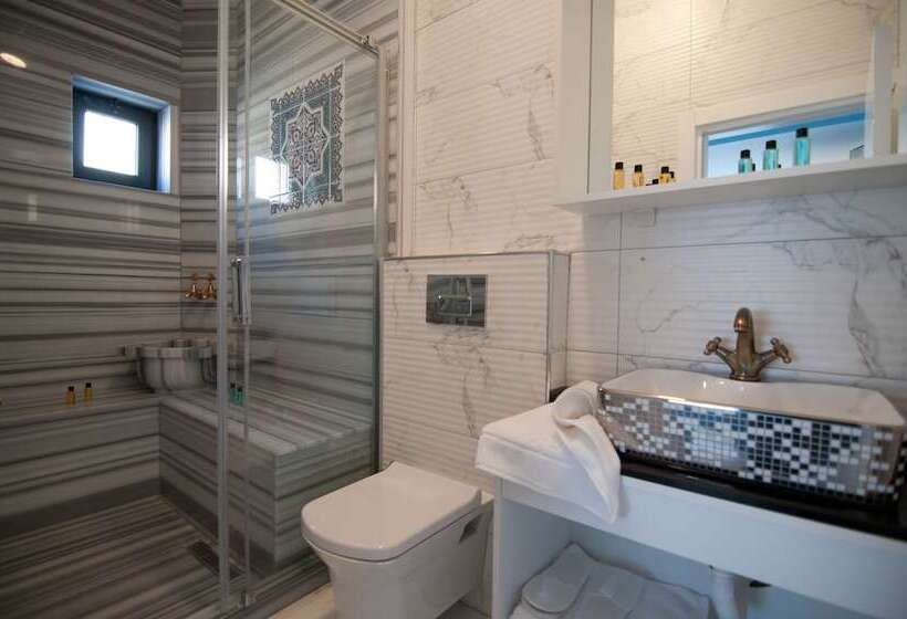 Fotos del hotel Center Hill Suites:  16