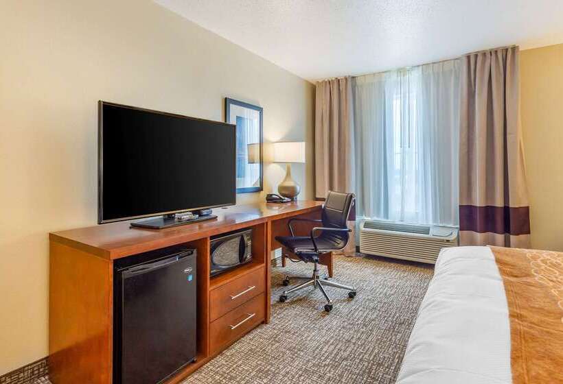 בית מלון כפרי Comfort Inn Dekalb  Adjacent The University