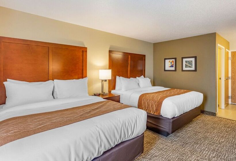 בית מלון כפרי Comfort Inn Dekalb  Adjacent The University