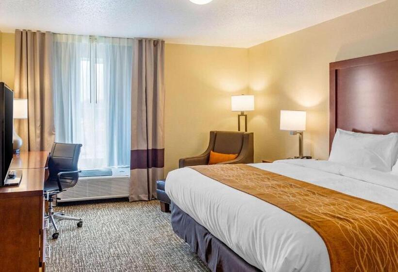 Отель Comfort Inn Dekalb Adjacent The University