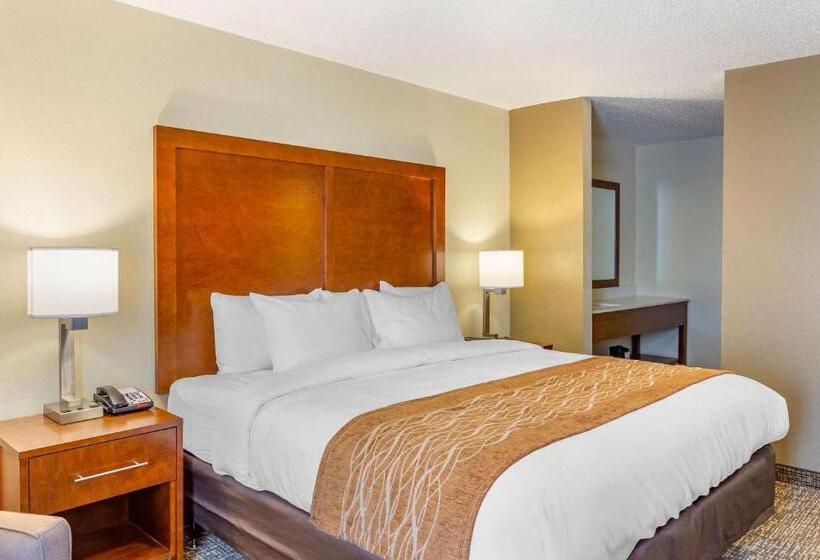 בית מלון כפרי Comfort Inn Dekalb  Adjacent The University
