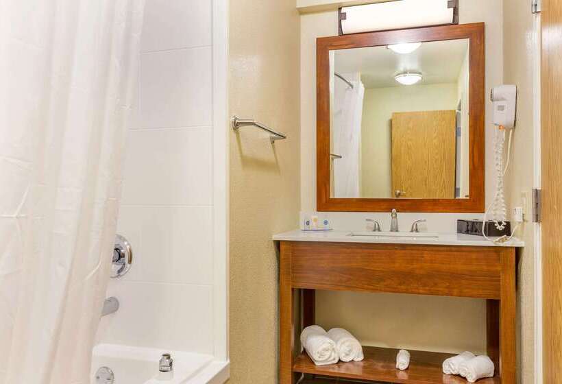 酒店 Comfort Inn Dekalb  Adjacent The University
