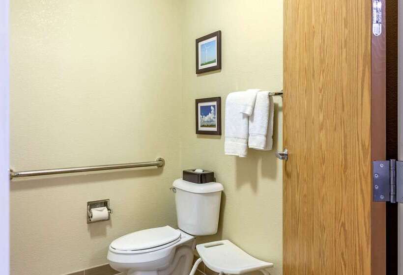 בית מלון כפרי Comfort Inn Dekalb  Adjacent The University