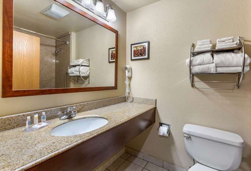 فندق Comfort Inn & Suites