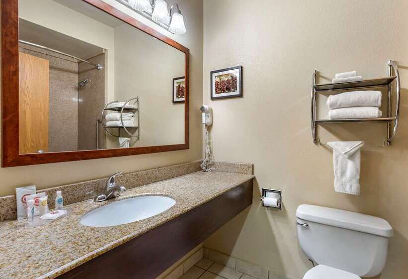 فندق Comfort Inn & Suites