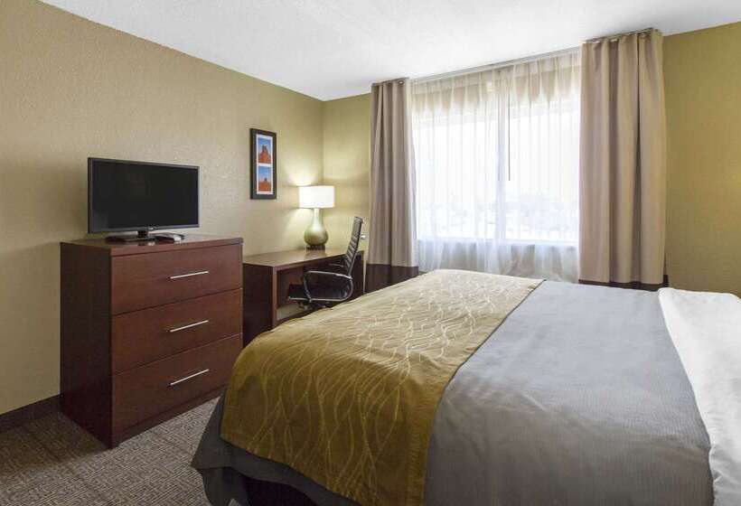 فندق Comfort Inn & Suites