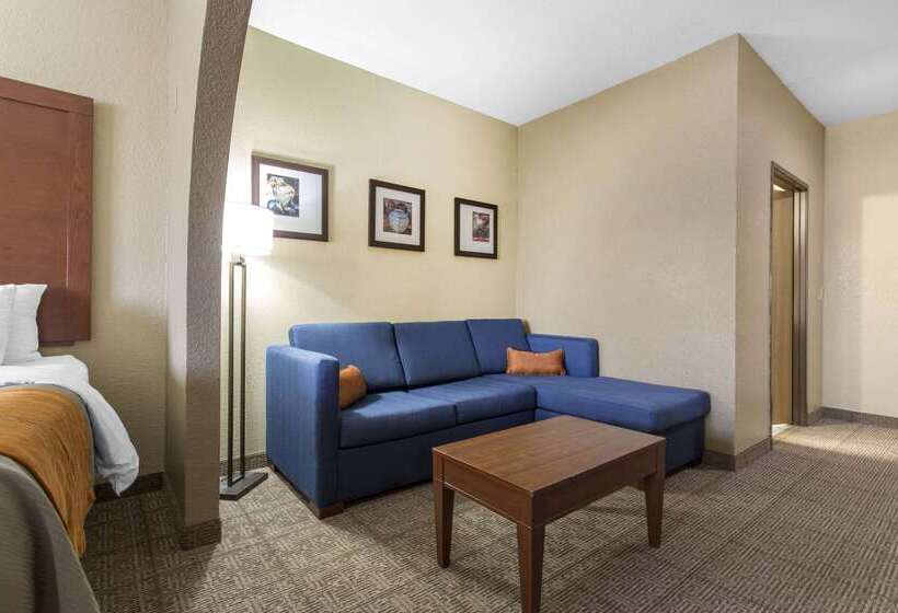 فندق Comfort Inn & Suites