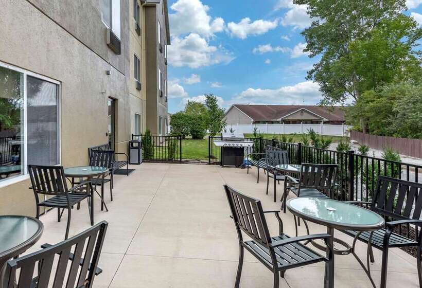 בית מלון כפרי Comfort Suites Auburn Near I69