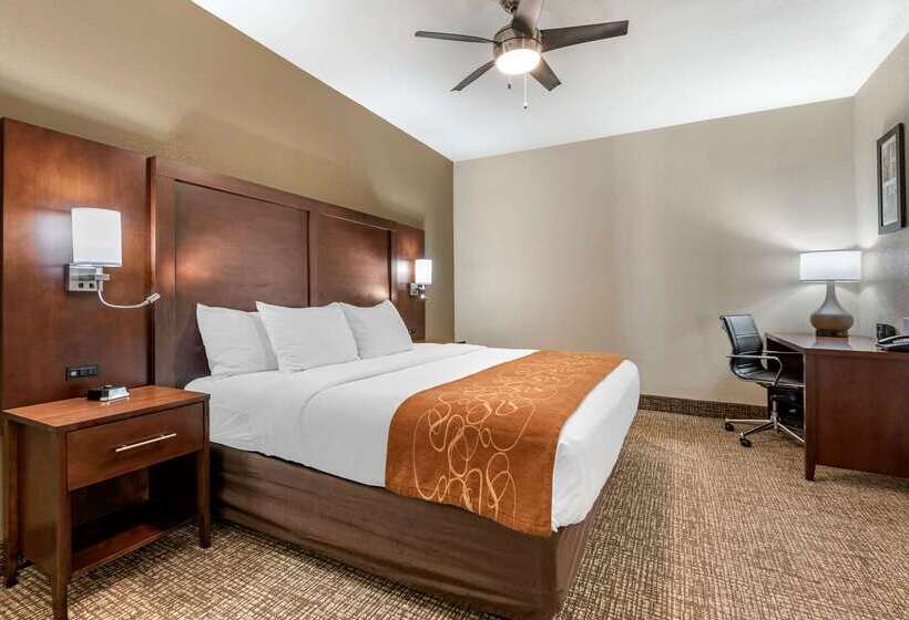 فندق Comfort Suites Auburn Near I69