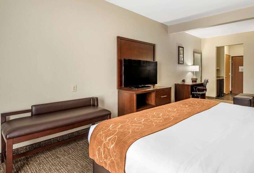 בית מלון כפרי Comfort Suites Auburn Near I69